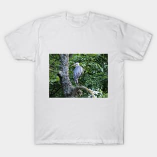 The Blue Heron T-Shirt